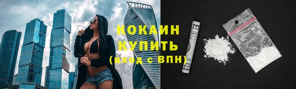 мяу мяу мука Аркадак