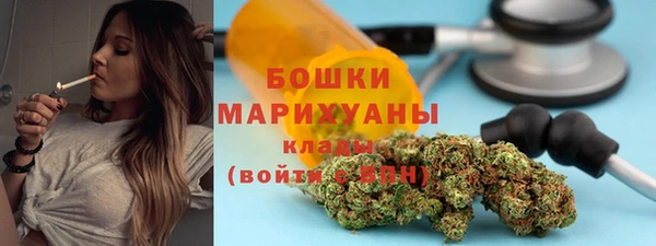 ешки Алексин