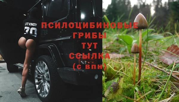 стафф Армянск