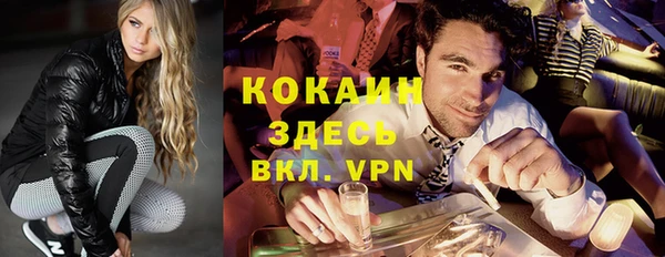ешки Алексин