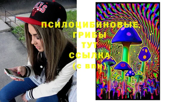ешки Алексин