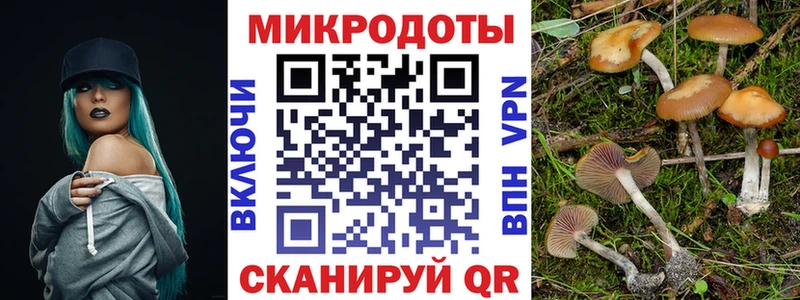 mega зеркало  Радужный  Псилоцибиновые грибы прущие грибы 